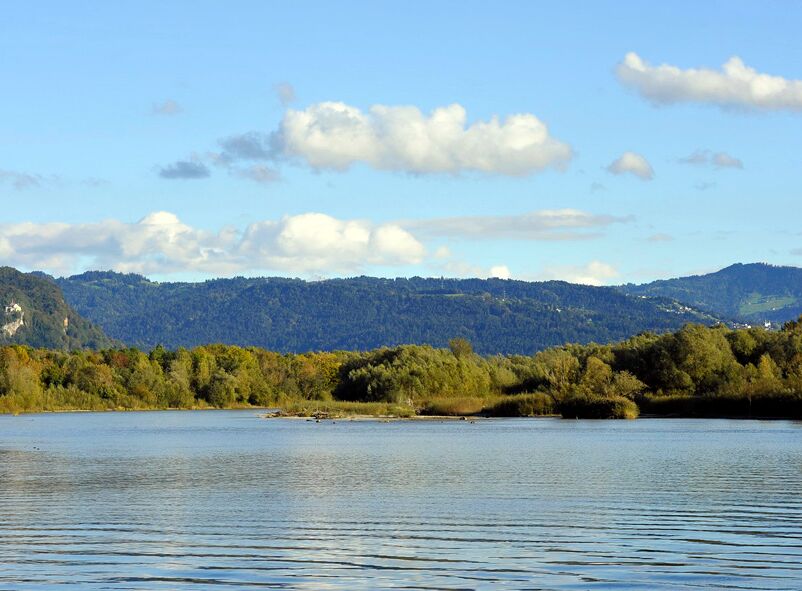 Die Mündung der Bregenzerach zählt zu den wenigen naturnahen Mündungslandschaften Mitteleuropas, Foto: umg