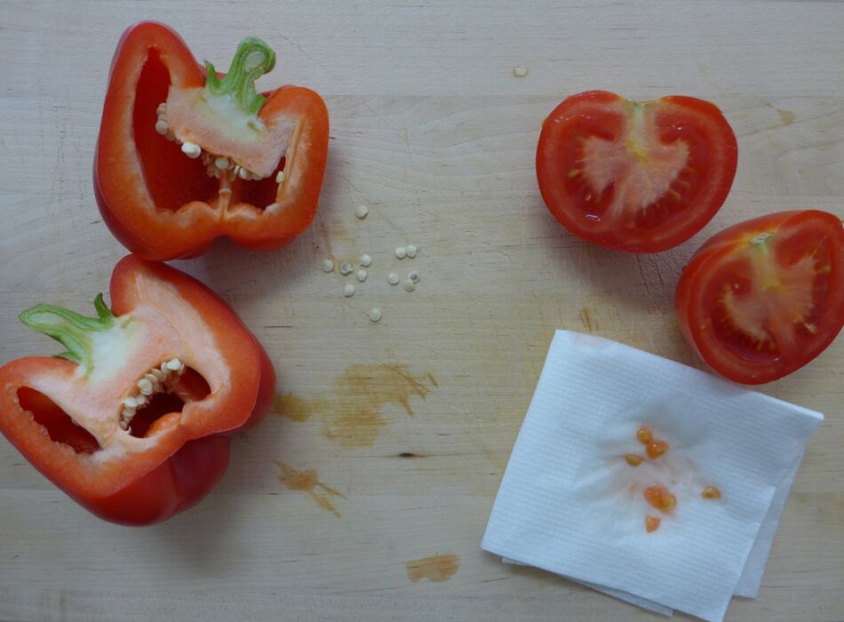 Paprika und Tomaten mit Samen