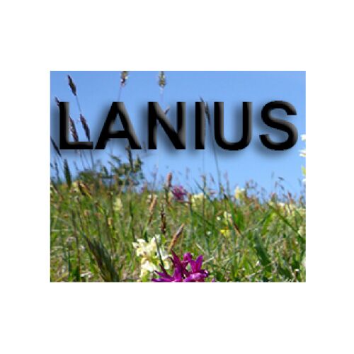 Forschungsgemeinschaft Lanius