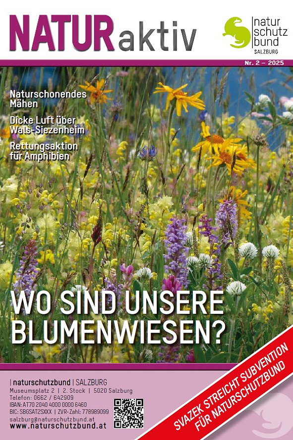 NATUR aktiv 02/2025